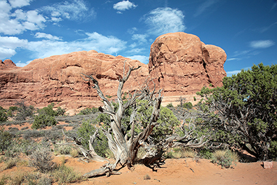 Landscape Photos : Richard Moore : Photographer